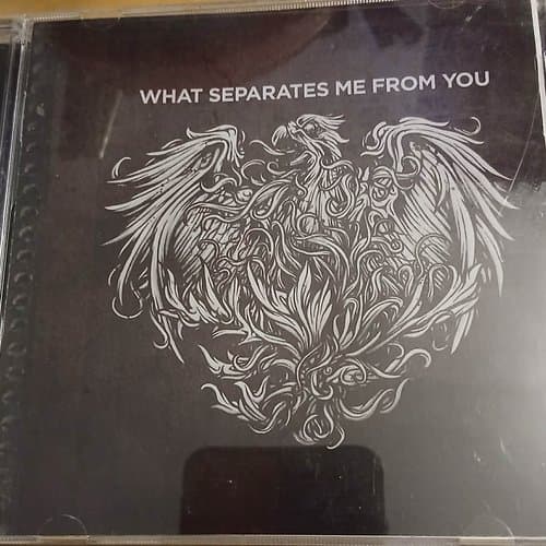 What Separates Me From You by A Day To Remember